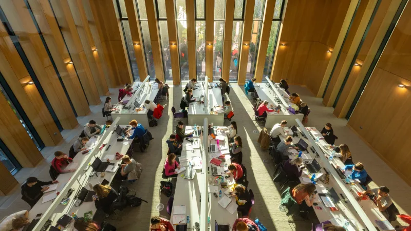 Students studying in Glucksman Library