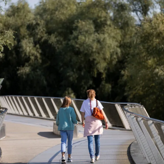 students walking on bridge