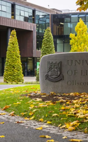 Autumn campus stone with University of Limerick written on it 