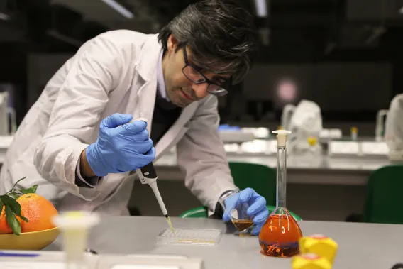 functional foods MSc