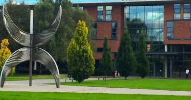 Kemmy business school