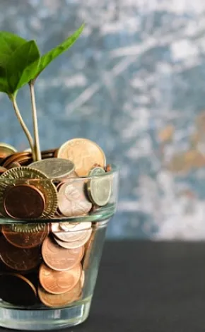Glass filled with coins with a small plant growing out of it 