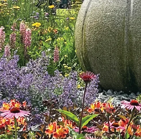 staycurious - sustainable society